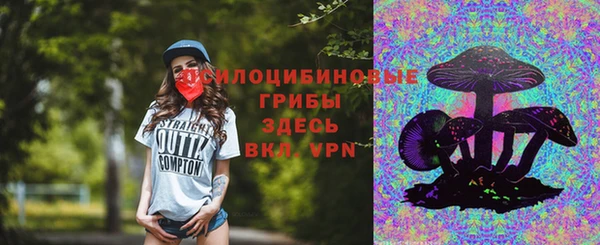 не бодяженный Арсеньев