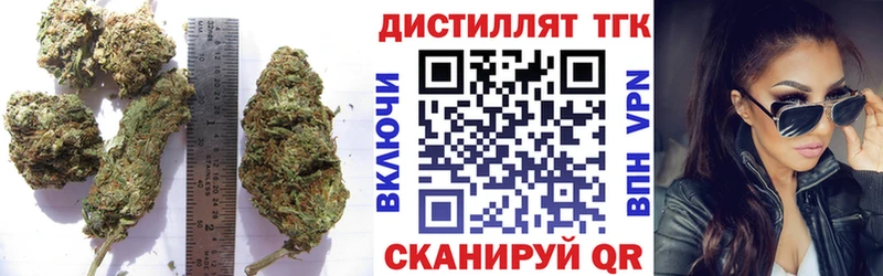 Дистиллят ТГК концентрат  нарко площадка официальный сайт  Верея  как найти наркотики 